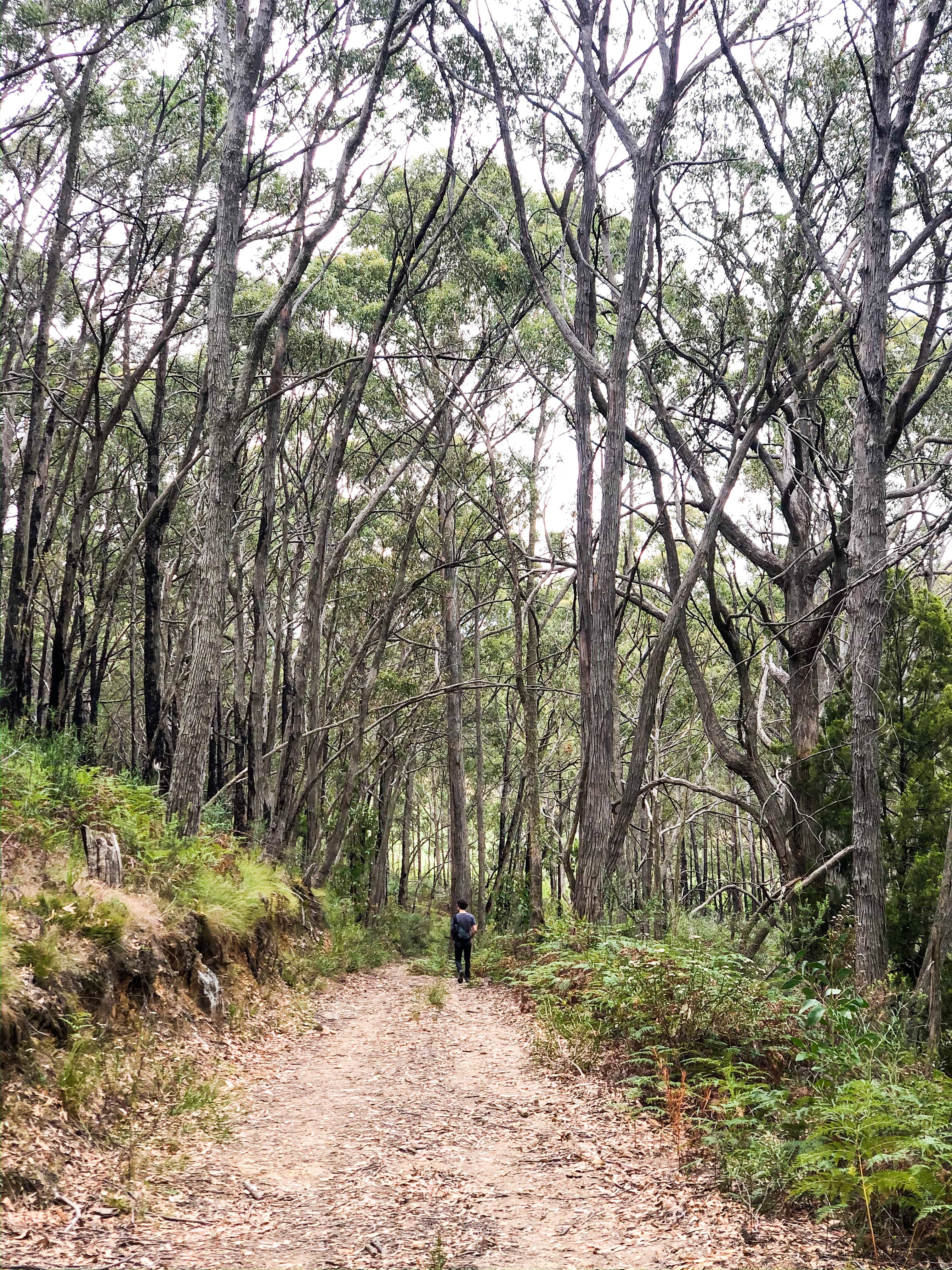 Views from isolation : Beck takes us on a visual journey of her weekend walks in the Adelaide Hills - Impulse Boutique