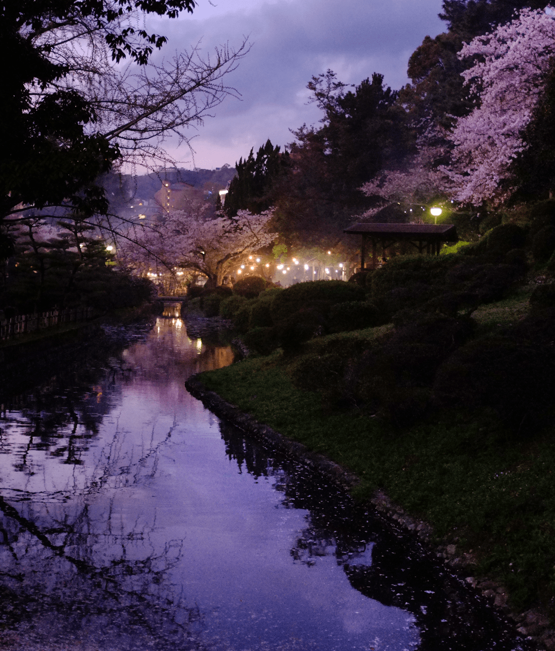 Staff Travel Photos - Japan by Beck - Impulse Boutique